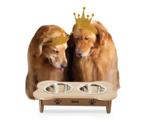 Dog Feeder by PonVue Creations