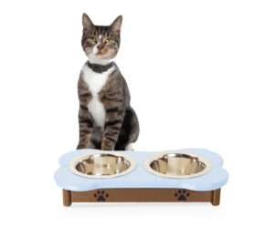 Cat Feeder by PonVue Creations