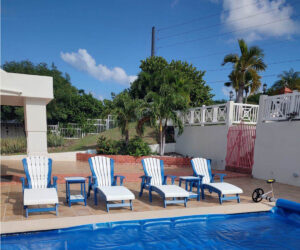 Lounge Chair Collection by Walnut Lane Poly