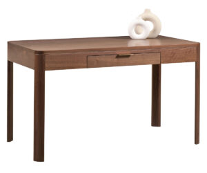 Bayport Writers Desk by Dutch Creek Design